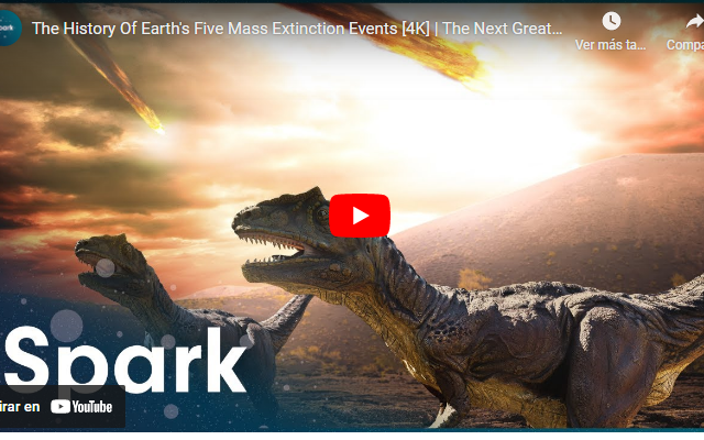 The History Of Earth’s Five Mass Extinction Events [4K] | The Next Great Extinction Event | Spark