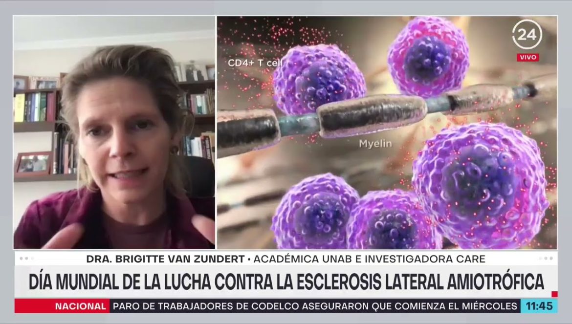 Dra. Brigitte van Zundert sobre el ELA: “El 90% de los casos no tiene antecedentes familiares” 06-21-2022