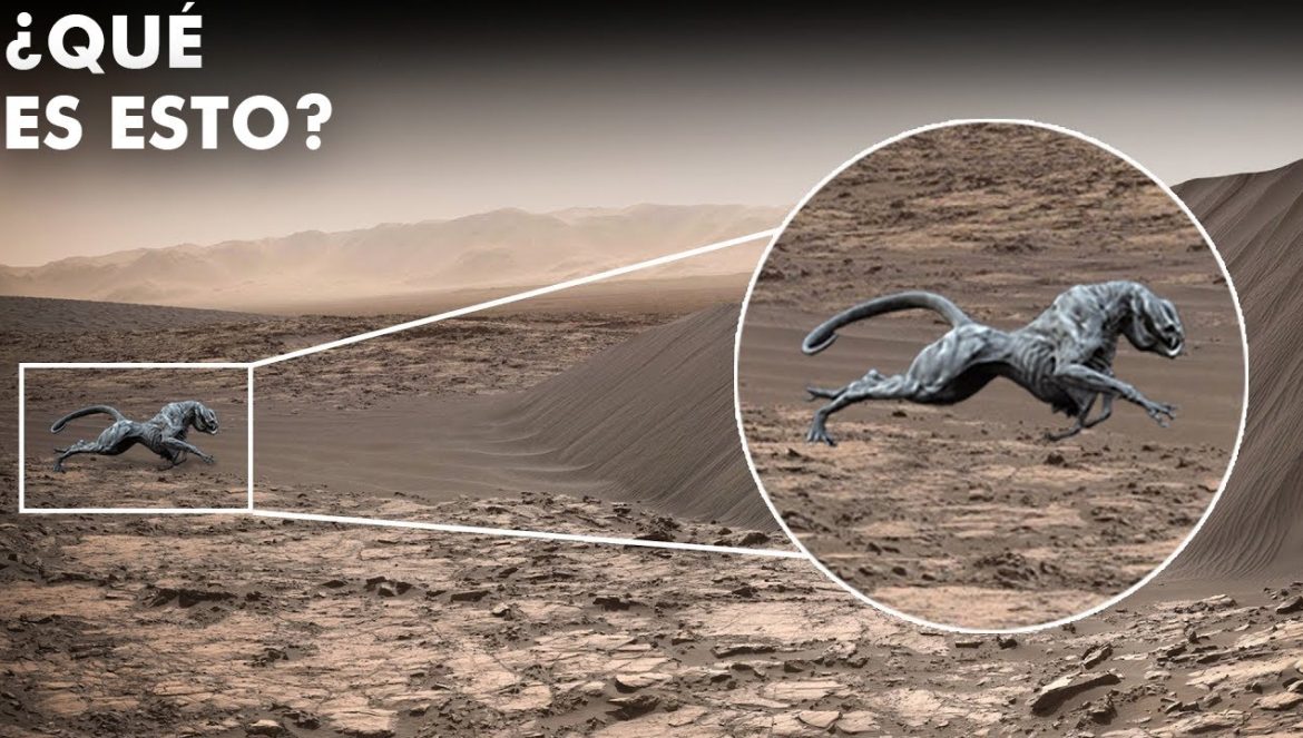 La NASA Y Elon Musk Acaban De Hacer Un Descubrimiento Aterrador En Marte Que Lo Cambia Todo…11-09-2022