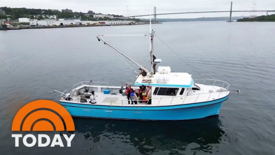 How Scientists Harness The Ocean’s Power To Fight Climate Change….12-06-2022