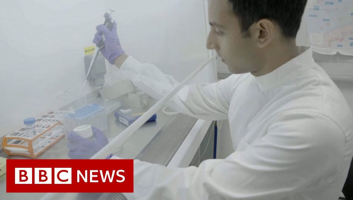 Science rejuvenates woman’s skin cells to 30 years younger – BBC News…04-08-2022