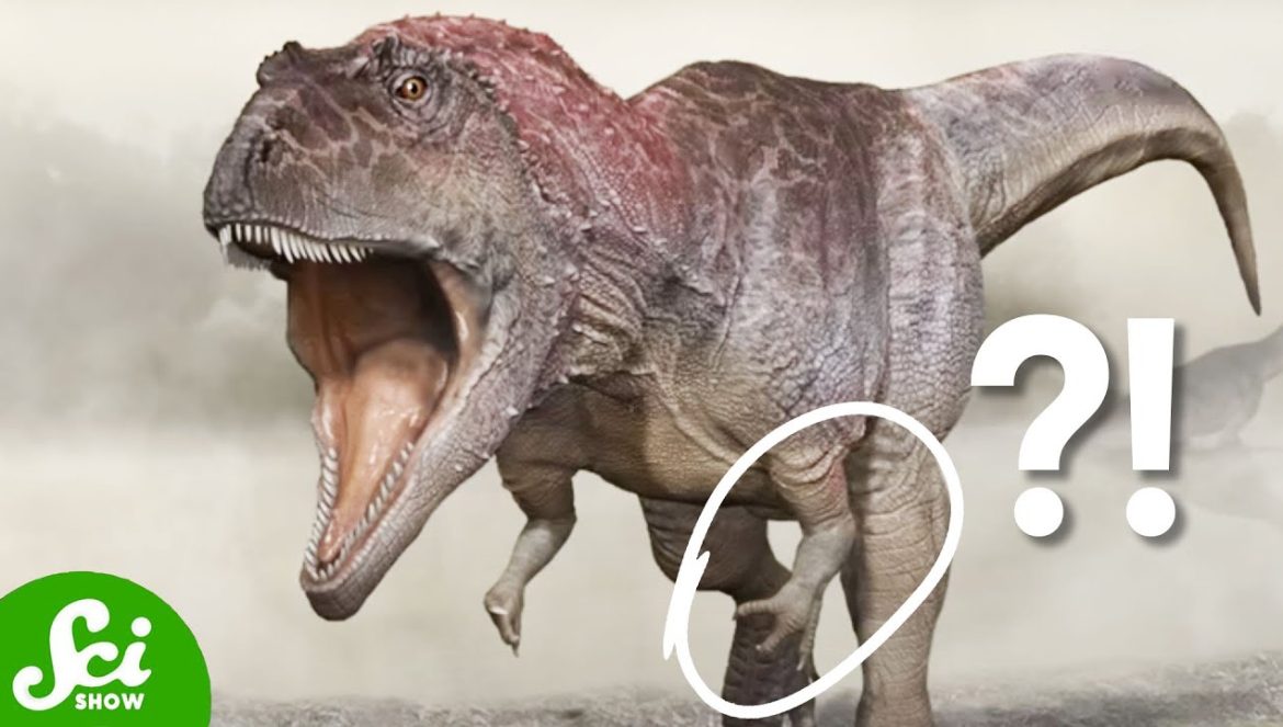 The Biggest Paleontology Discoveries of 2022