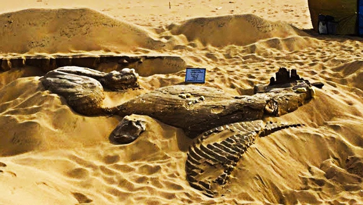 Archaeologists Dug Up a Californian Sand Dune and What They Discovered Left Them Speechless….03-22-2022