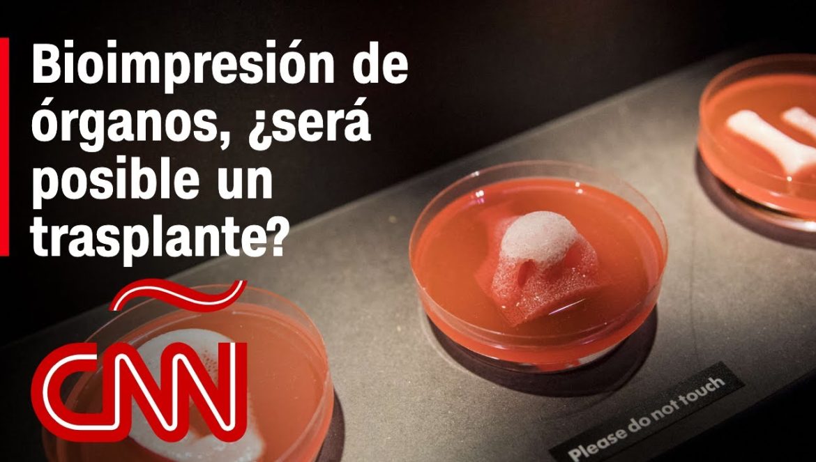 ¿Es viable el trasplante a humanos de un órgano impreso en 3D? 03-23-2023