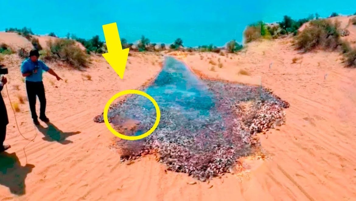 Saudi Arabia Just SHOCKED American Scientists With This! 03-11-2023