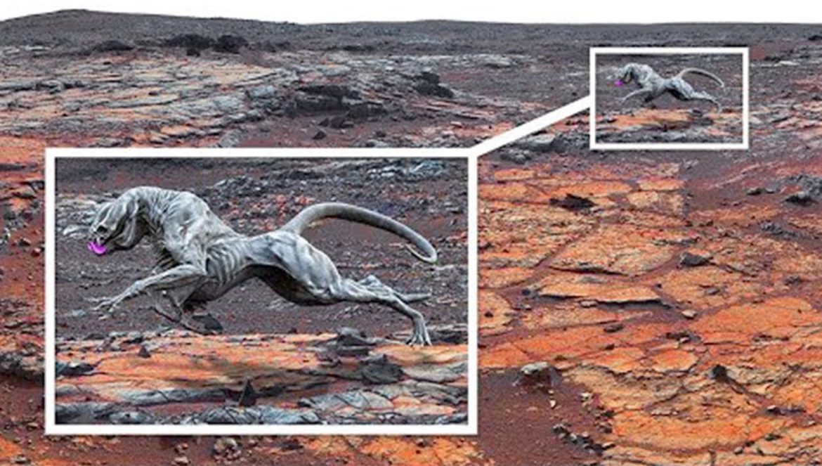 Todo Lo Que La NASA Ha Encontrado En Marte Hasta Ahora