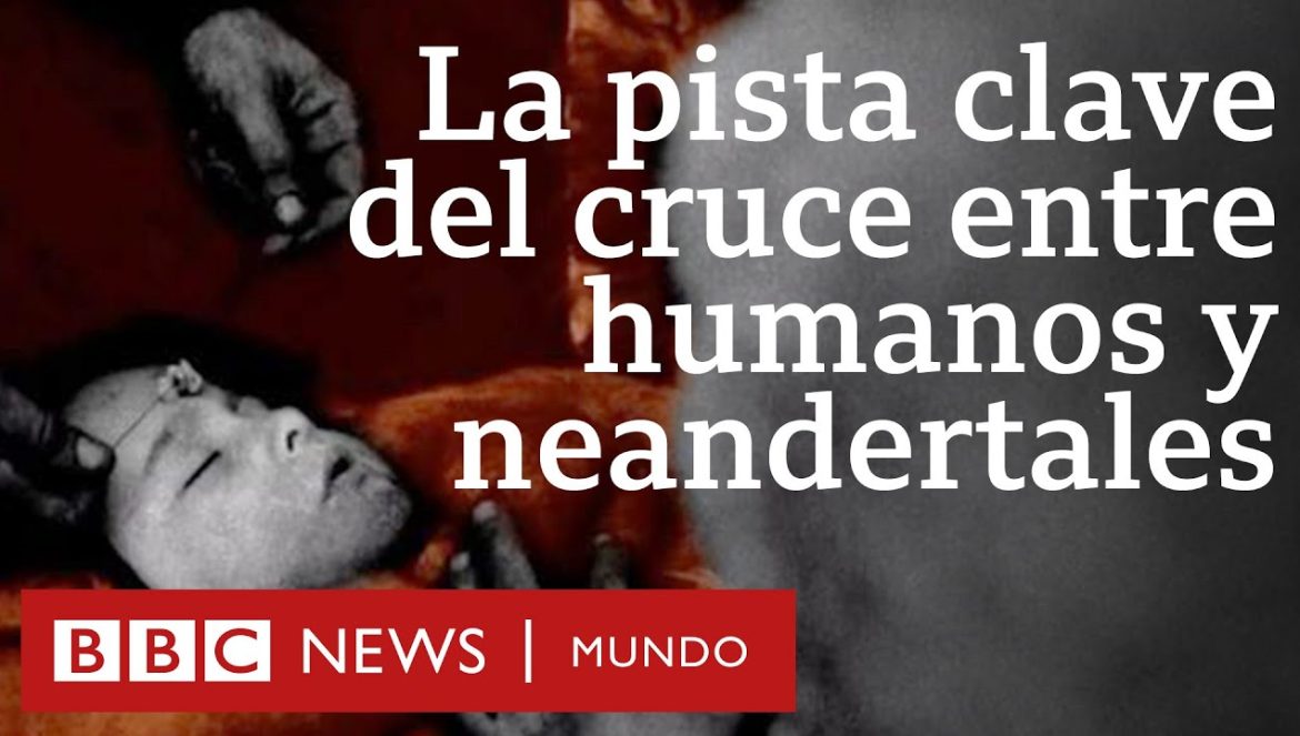El niño de Lapedo, el esqueleto que refuerza la teoría de que neandertales y sapiens se apareaban….04-15-2023