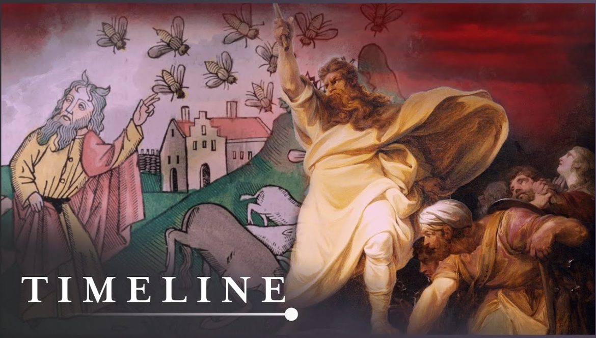 The Historical Evidence Of The Plagues | The Exodus Decoded | Timeline