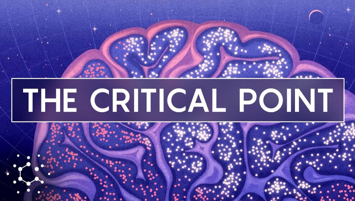 Could One Physics Theory Unlock the Mysteries of the Brain? 01-31-2023