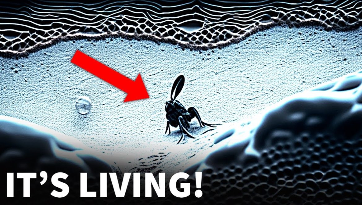 James Webb Telescope Just Announced The CLEAREST Image Of Pluto’s Surface Seen In History….05-02-2023