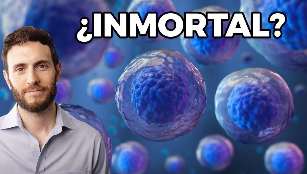 Las 5 Sustancias que FRENAN el ENVEJECIMIENTO….12-21-2021