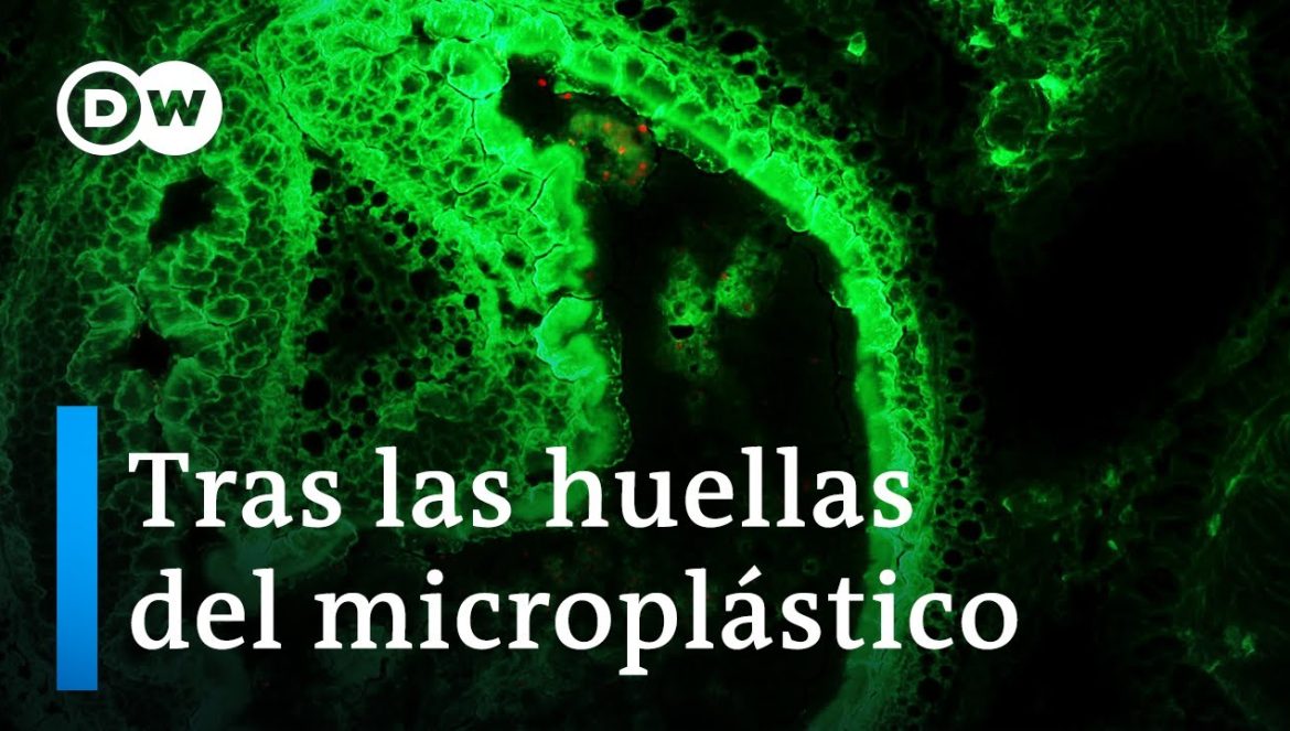 Los peligros del microplástico | DW Documental….11-01-2022