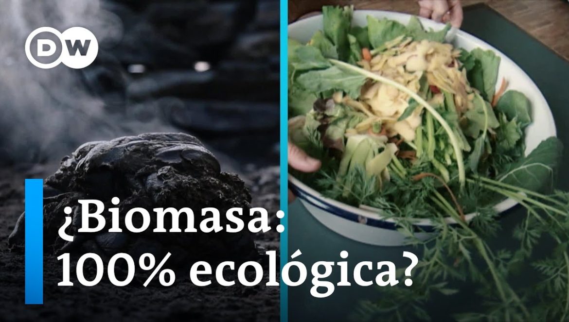 Economía circular: ¿Cuán limpia es la biomasa? 06-12-2023