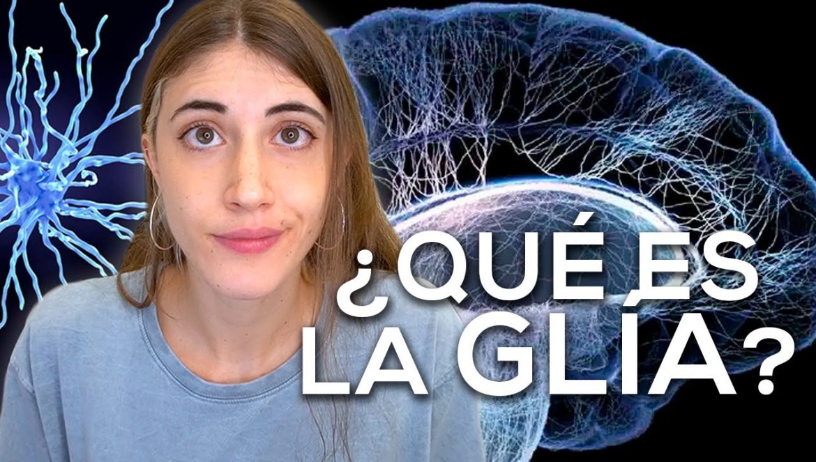 Las CÉLULAS SECRETAS del CEREBRO: ¿Qué es la GLÍA? 10-24-2021
