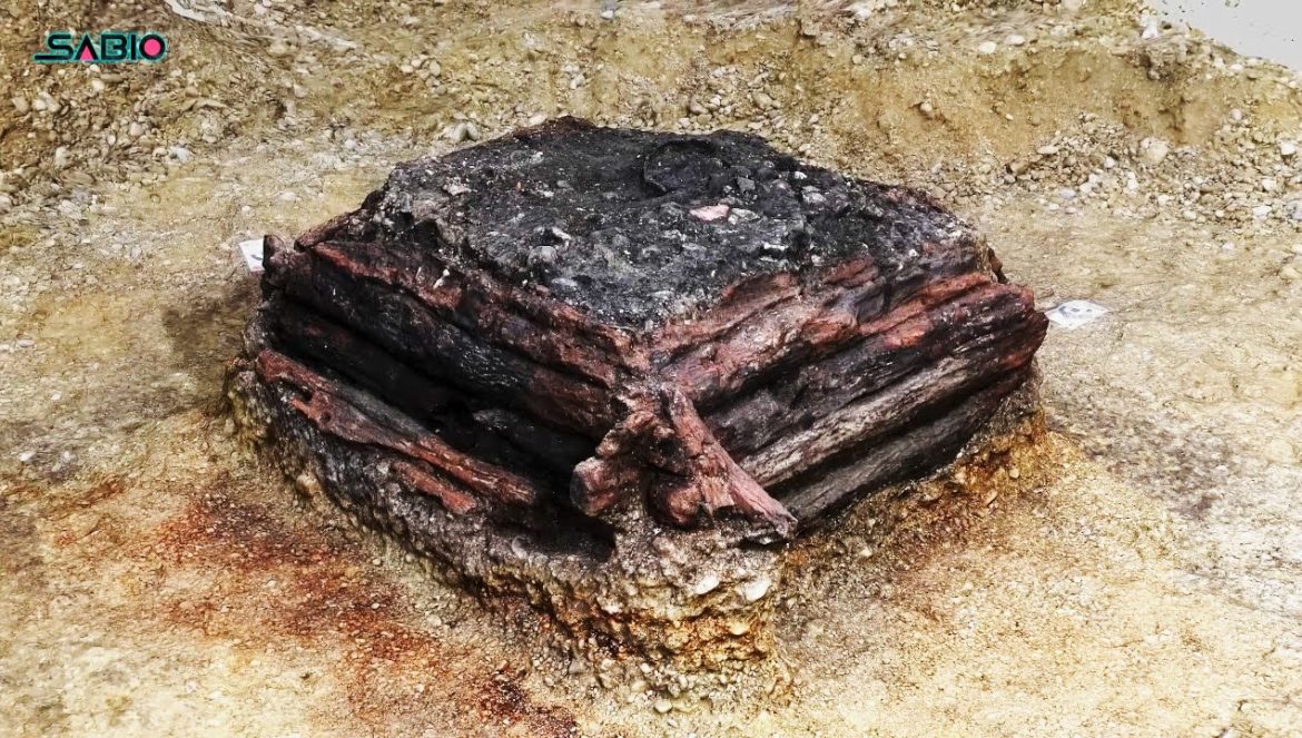 LO IMPOSIBLE HA SUCEDIDO | Los científicos han descubierto lo que nadie debería ver….06-17-2023