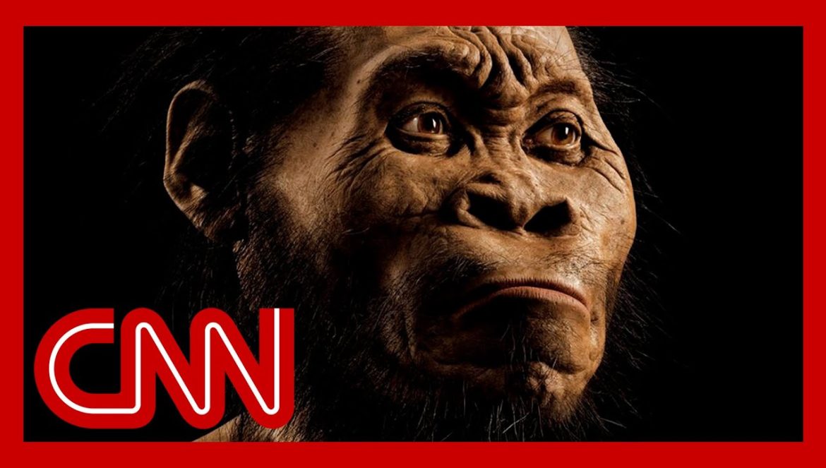 ‘That just died’: Paleoanthropologist debunks myth about humans….05-07-2023