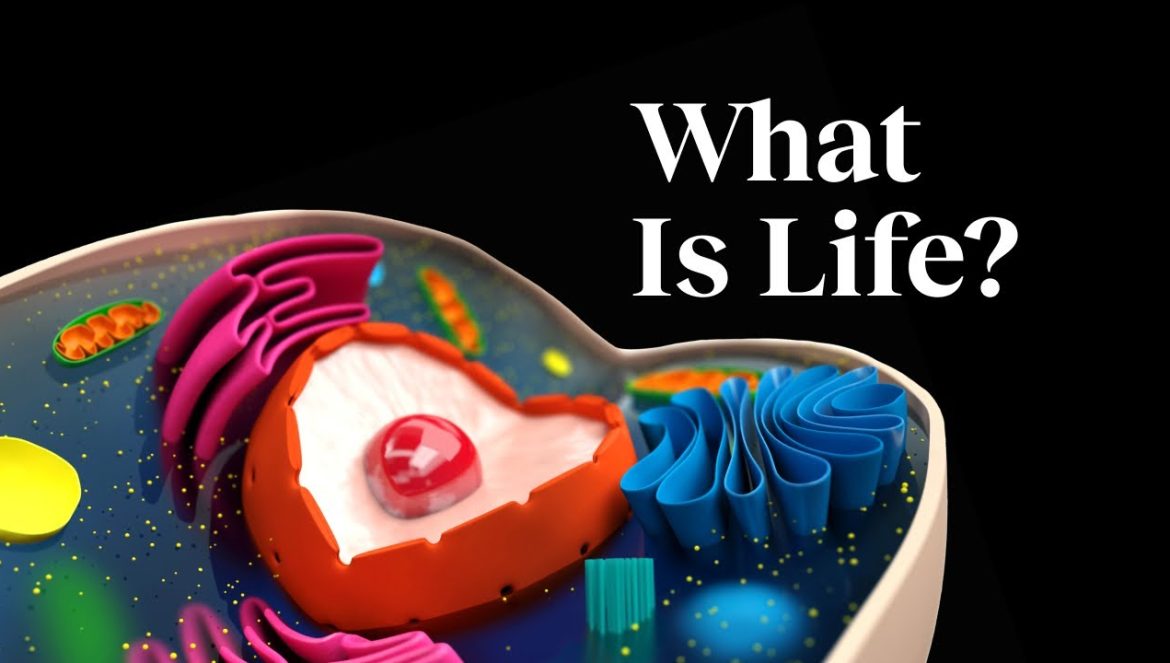 The 5 core principles of life | Nobel Prize-winner Paul Nurse….05-19-2023