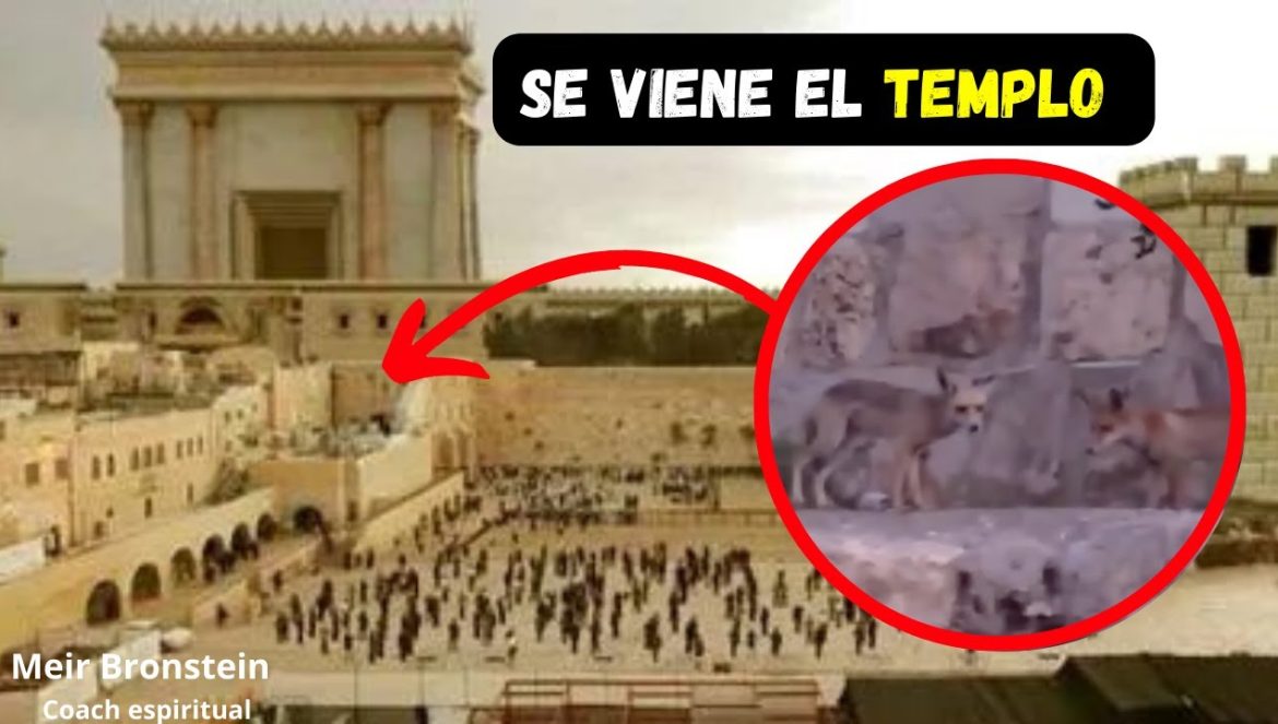 URGENTE: OCURRIÓ LA PRIMERA SEÑAL….07-19-2023