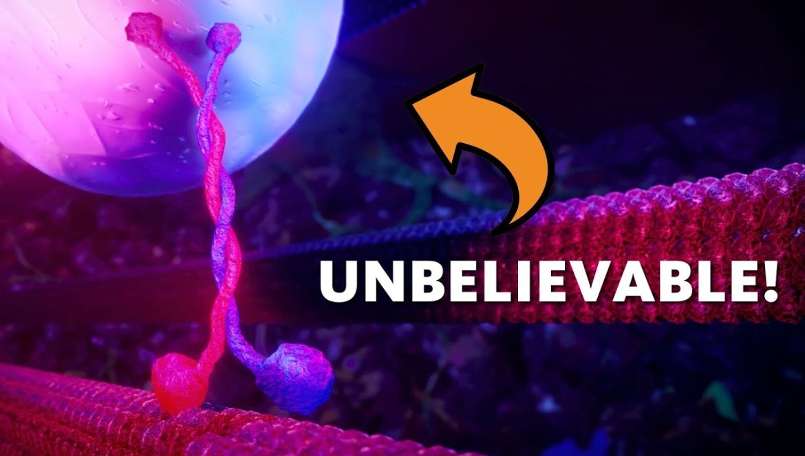 We Challenge All Evolutionists to Watch This Video! 06-30-2023