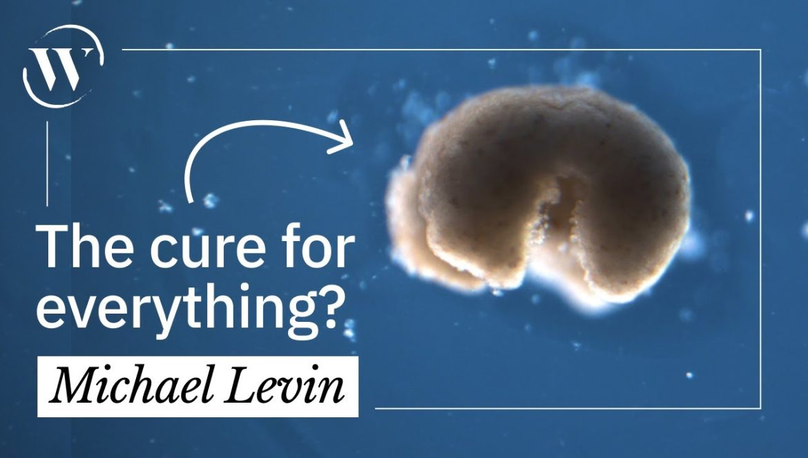 Biohacking our way to health | Michael Levin….08-25-2023