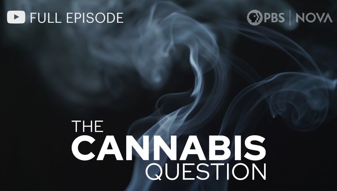 The Cannabis Question I Full Documentary I NOVA I PBS….09-29-2023