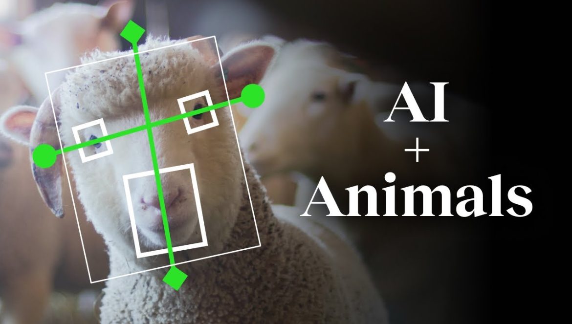 The unexpected impact of AI on animals | Peter Singer….10-10-2023