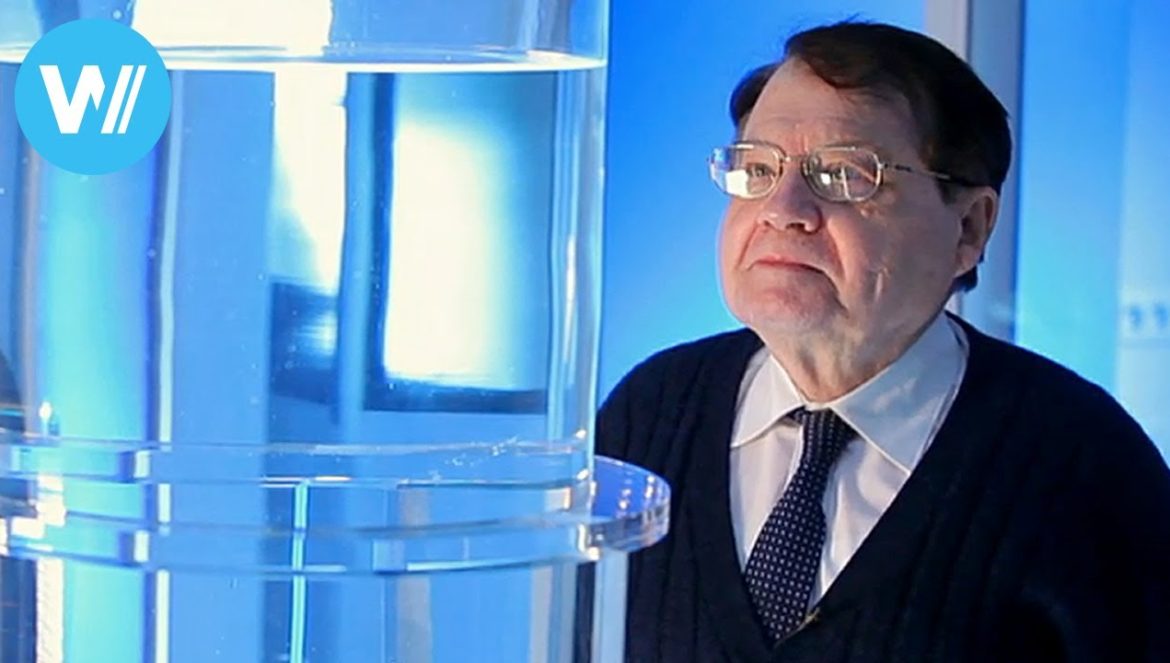 Water Memory (2014 Documentary about Nobel Prize laureate Luc Montagnier) 01-28-2016