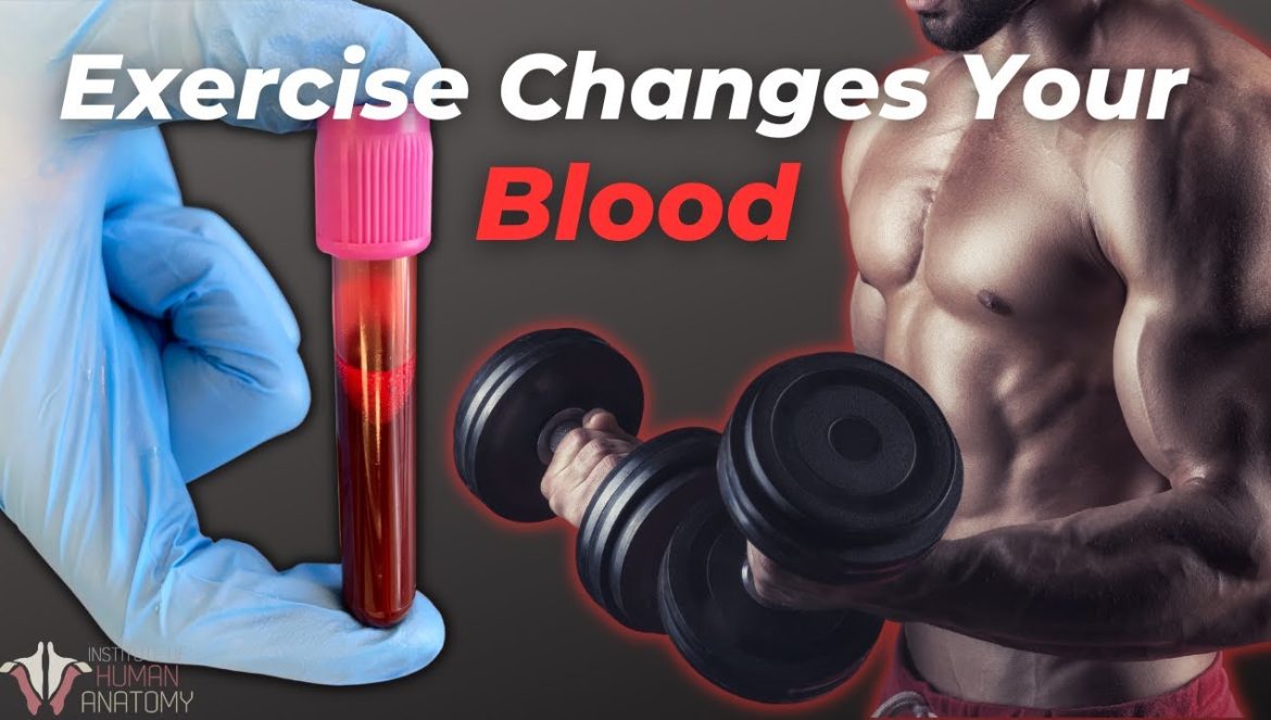 How Your Blood Changes With Exercise….04-11-2023