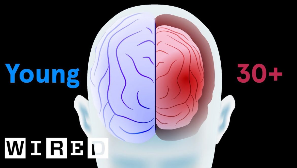 How Your Body Ages From Head to Toe | 11-13-2023