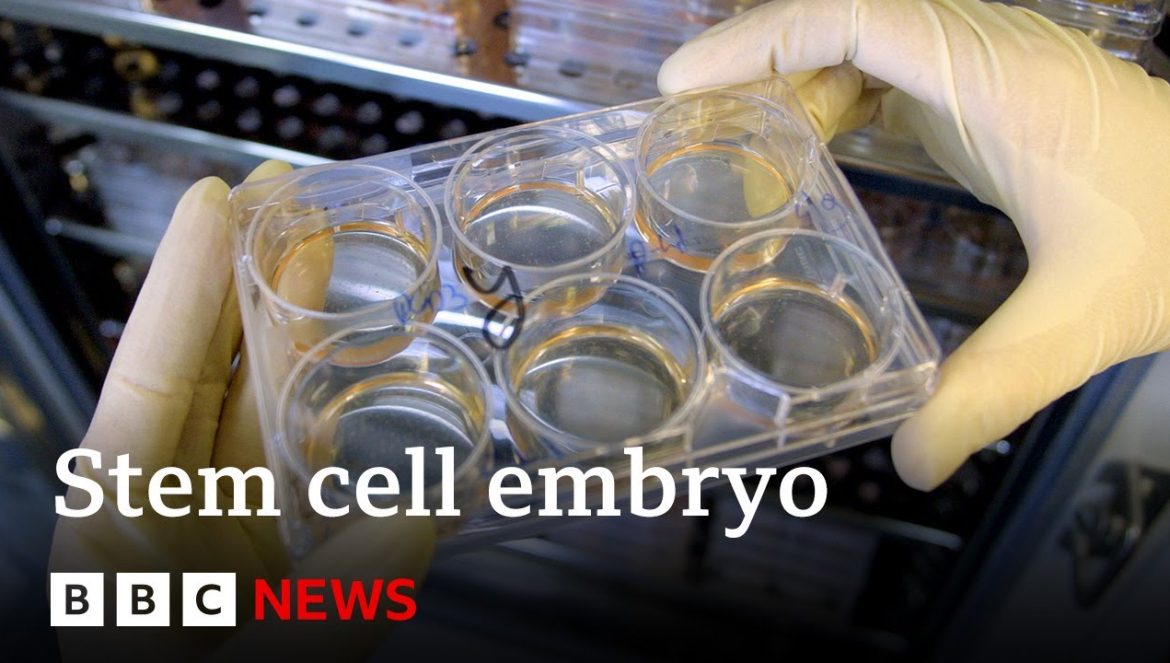 Scientists grow whole model of human embryo, without sperm or egg….09-06-2023