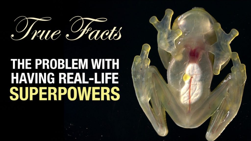 True Facts: The Science of Real-Life SuperPowers….11-29-2023