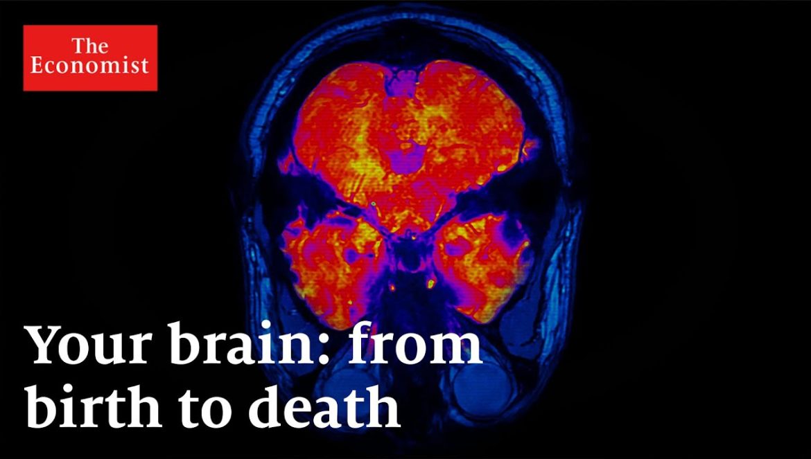 What happens to your brain as you age….11-02-2023