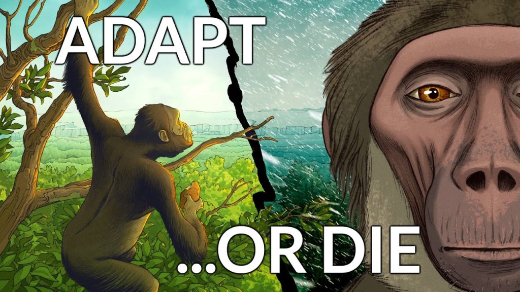 What Was The Earth Like When Humanity Began? 11-26-2023