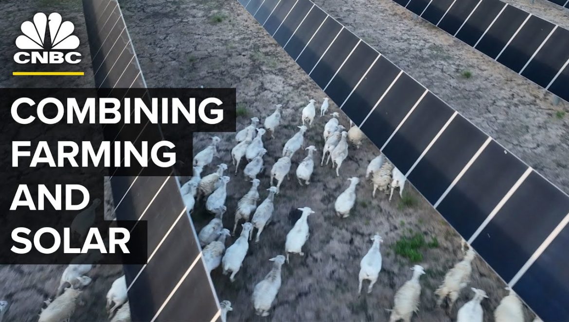 Why Oil Giants Shell And BP Are Investing In U.S. Farmland….11-14-2023