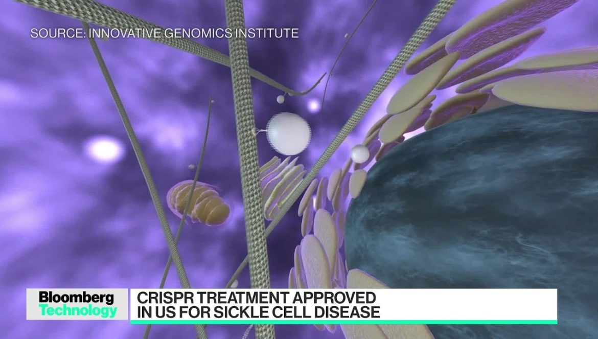 FDA Approves First Crispr Treatment for Sickle Cell Disease….12-08-2023