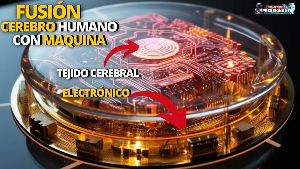 Máquina fabricada con “cerebro” humano en pruebas como cerebro de IA | Amazon muestra IA compras ON….12-14-2023