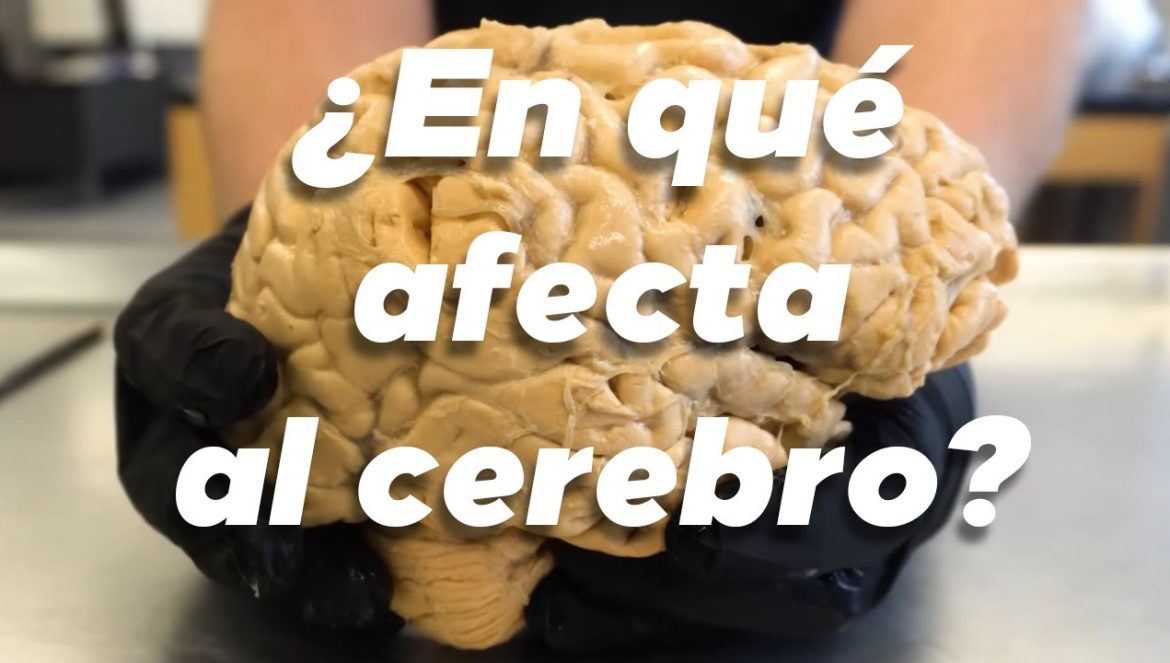 ¿Por qué DORMIR es tan IMPORTANTE? 07-16-2023