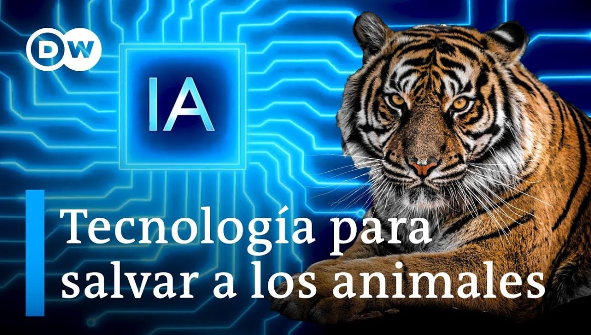 ¿Puede la inteligencia artificial salvar nuestra fauna? 12-24-2023