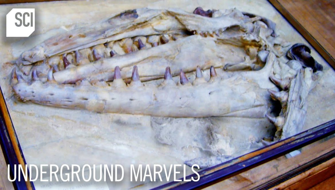 Revolutionary Fossil Discovery In Netherlands’ Cave System | Underground Marvels….12-27-2023