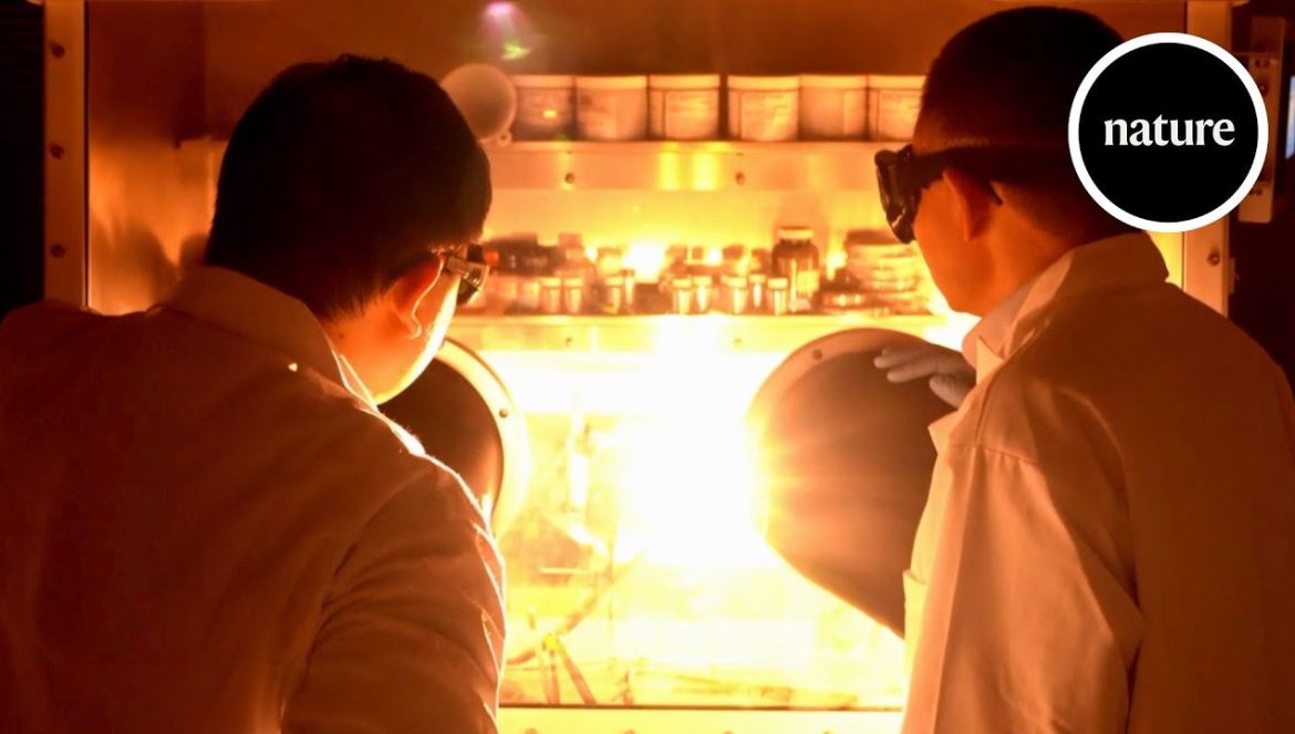 Super hot plasma made easy with stabilising fibres….11-29-2023