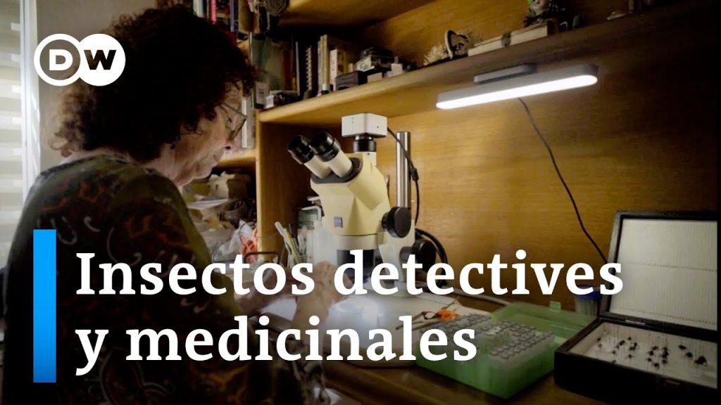 Marta Wolff: Desentrañar los secretos de la vida y la muerte….01-16-2024