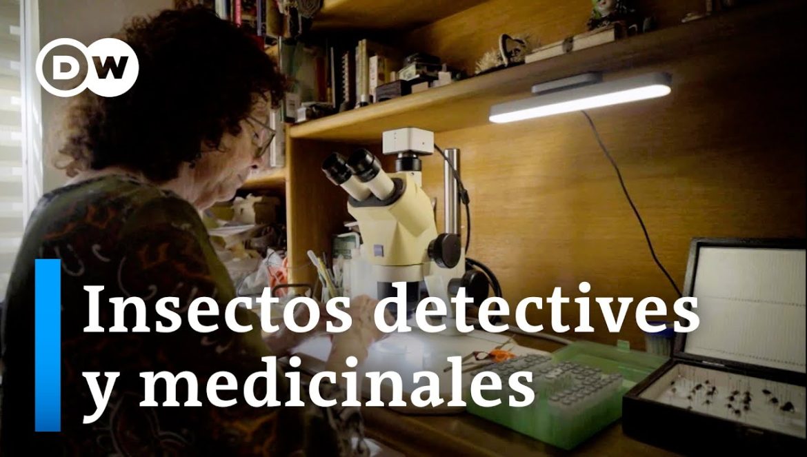 Marta Wolff: Desentrañar los secretos de la vida y la muerte….01-16-2024