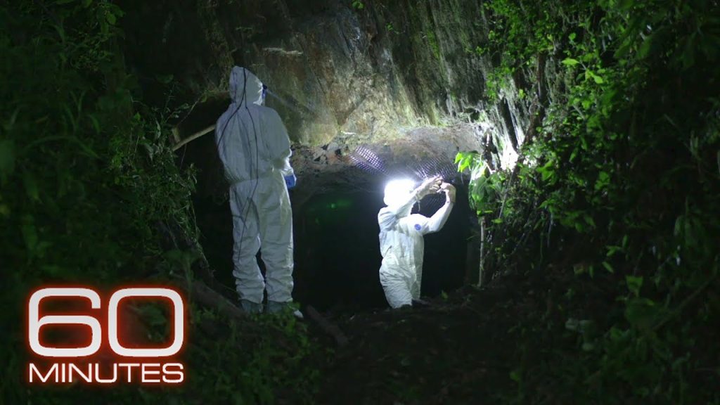 Pathogen X | 60 Minutes Archive….01-19-2024