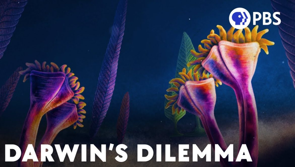 Animals Might Be Much Older Than We Thought….02-06-2024