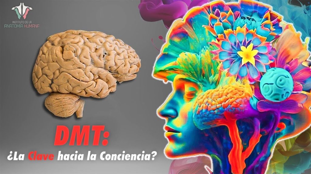 El Potencial Profundo del DMT….01-28-2024