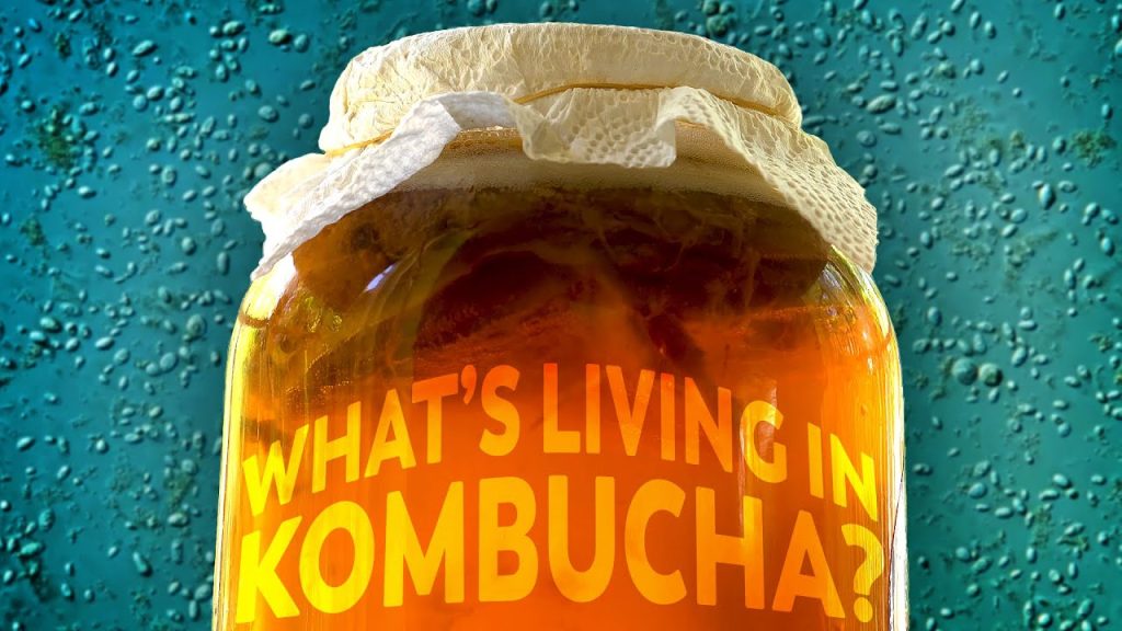 El universo microbiano que produce la kombucha….01-22-2024