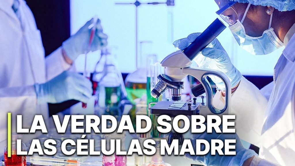 La Verdad sobre las Células Madre | Documental….02-17-2024
