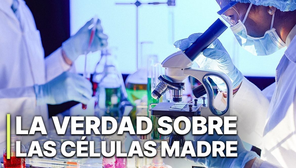 La Verdad sobre las Células Madre | Documental….02-17-2024