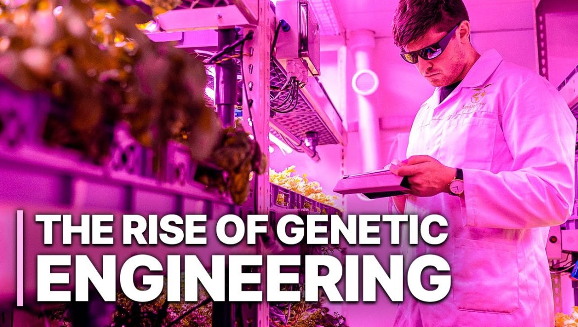 The Rise Of Genetic Engineering | Gene-Editing Technology | Science Documentary….02-03-2024
