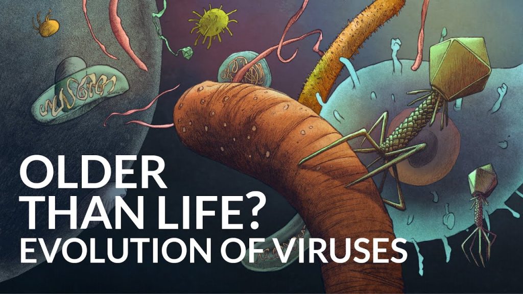 What Was The First Virus? 02-24-2021
